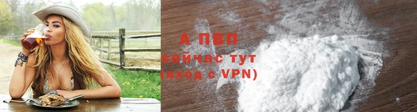 стафф Заволжск