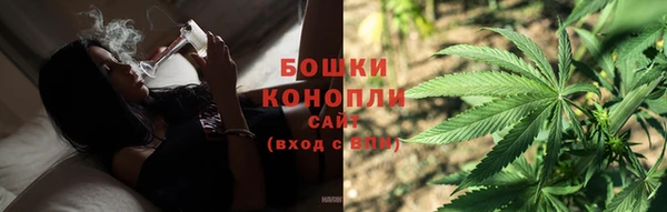 дживик Заводоуковск
