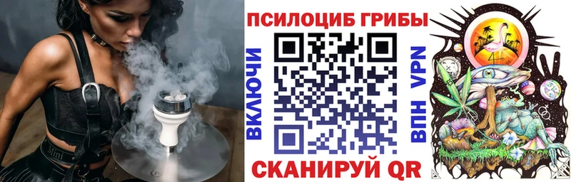 Купить  Инсар  Галлюциногенные грибы GOLDEN TEACHER 
